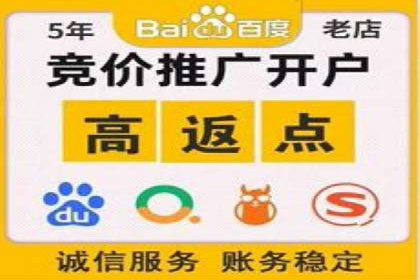 某品牌通过竞价SEM成功扩大市场份额